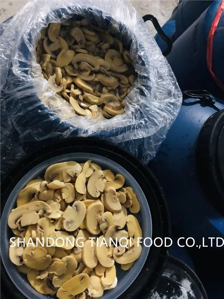 High quality white Mushroom in Brine Drums