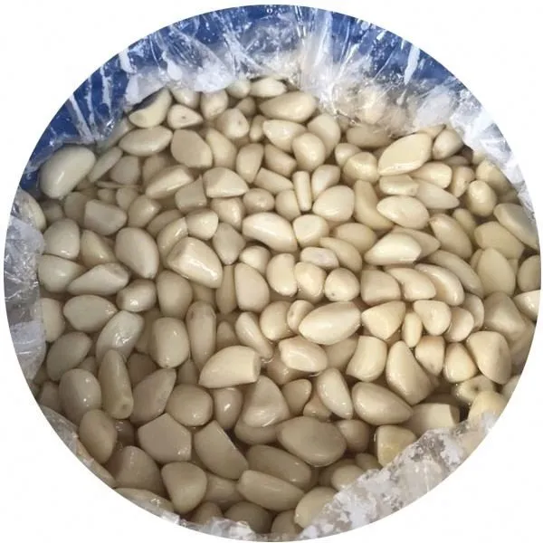 Brined peeled white garlic in drums