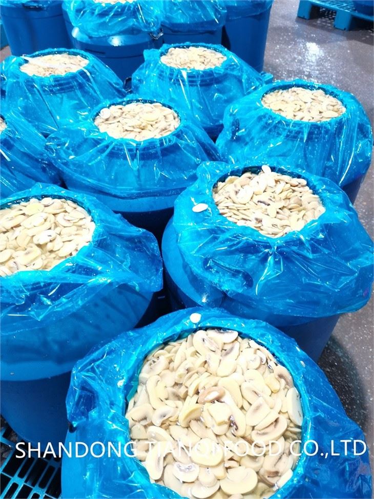 Wholesale pickled white mushroom in brine in drums