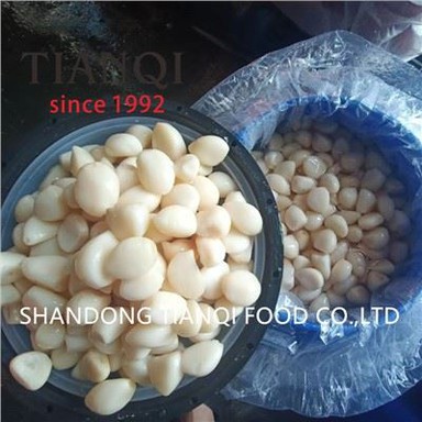 Oguljeni beli luk u salamuri (sol i voda)