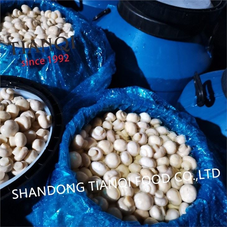 Vinegar white mushroom in drums