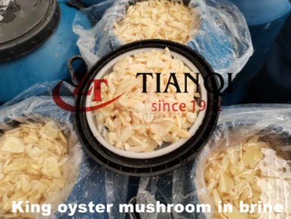 King Olyster Mushroom u salamuri u bubnjevima visokog kvaliteta